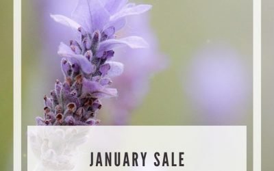 January Sale